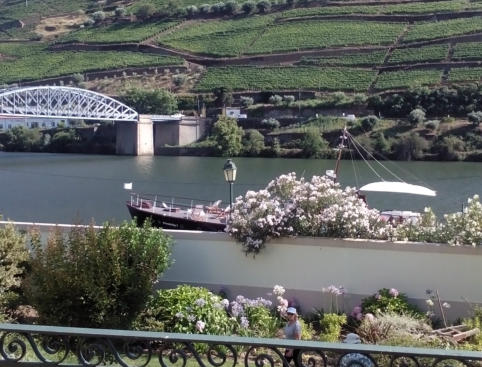 Douro River panorama and vineyards of the Port Wine in the background